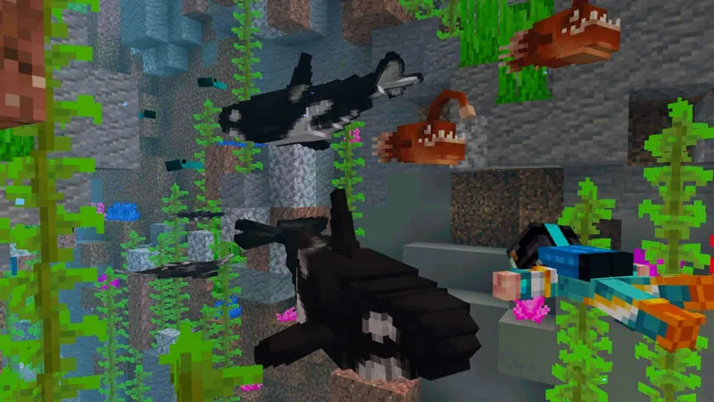 Ocean Wildlife Explorers