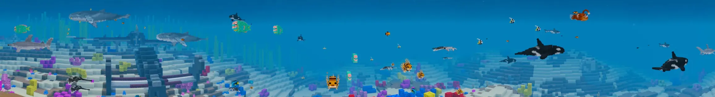 Ocean Wildlife Explorers