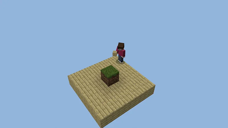 ONE BLOCK SURVIVAL!