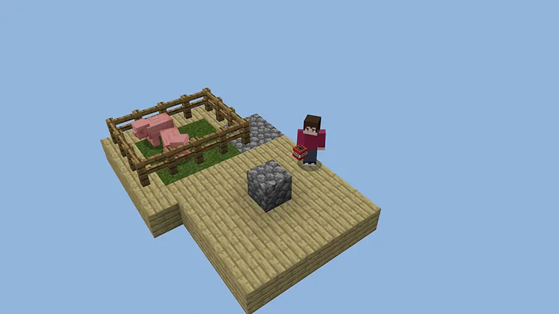 ONE BLOCK SURVIVAL!