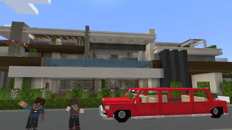 Millionaire Summer Mansion