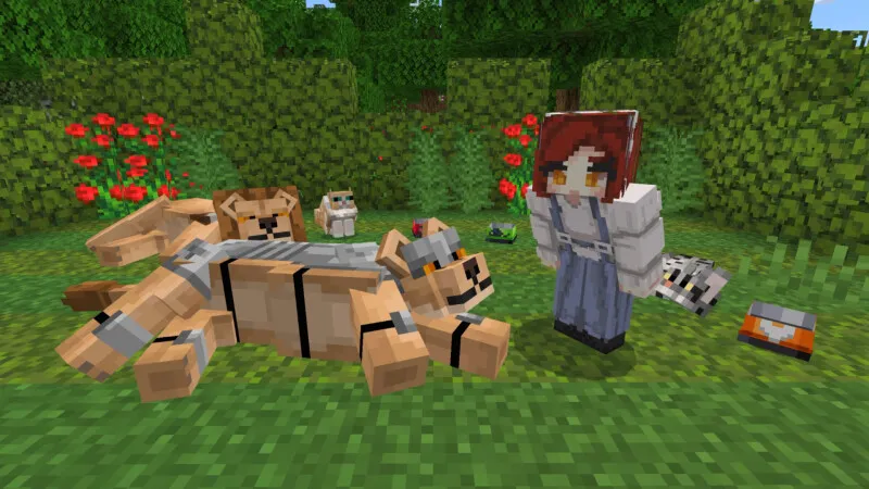 Basic Cats Add-On (1.0)