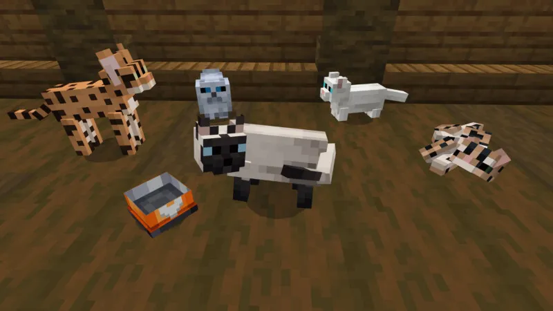 Basic Cats Add-On (1.0)