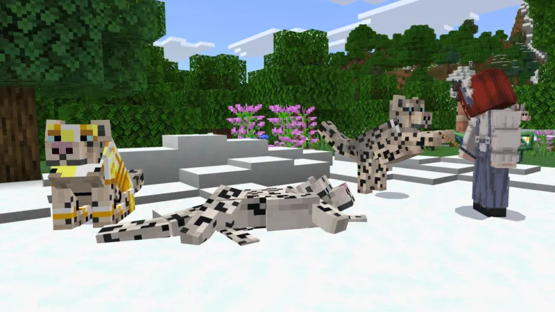 Basic Cats Add-On (1.0)