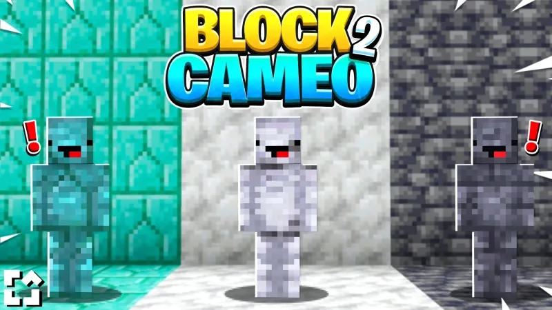 Block Cameo 2