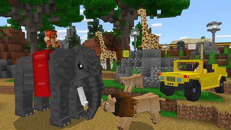 Animal Life