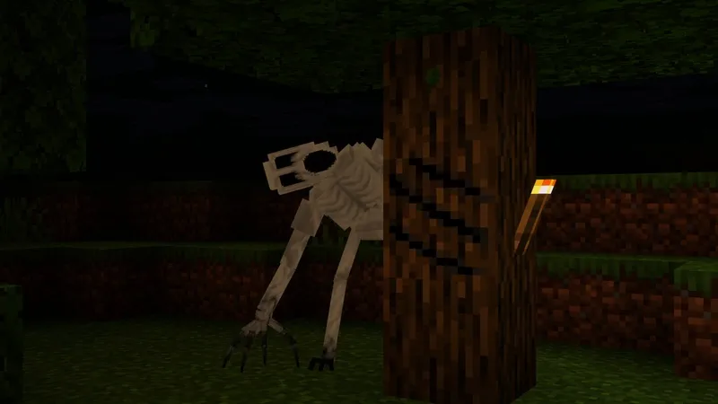 The One Who Watches Add-On 1.0.1