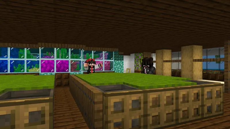 Millionaire Luxury Yacht