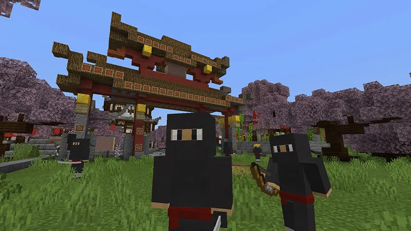 Ninja Town