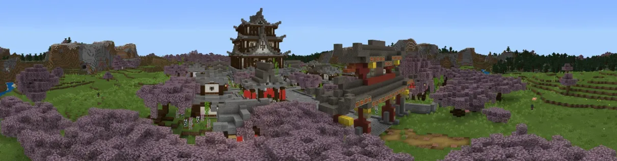 Ninja Town