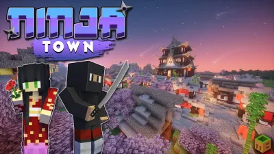 Ninja Town