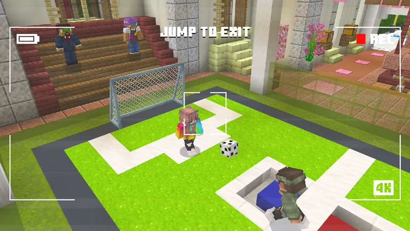 Safest Millionaire Mansion