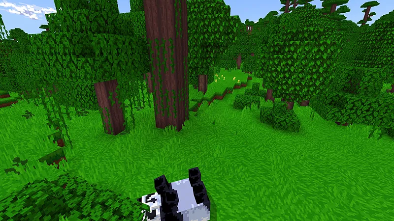 Prehistoric Textures