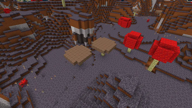 Prehistoric Textures