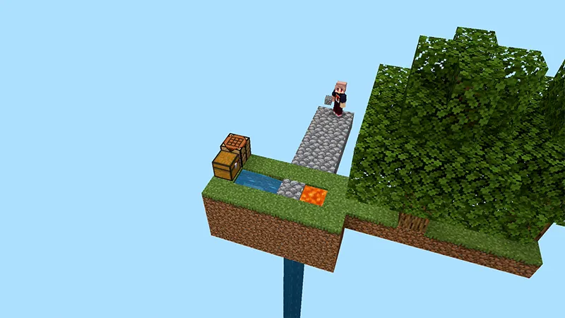 100 Days Skyblock