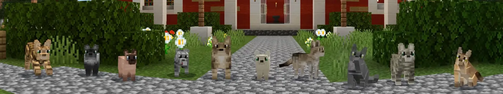 Pets: Cats