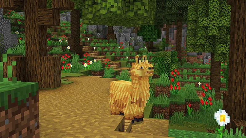 The Llama Glama Gang