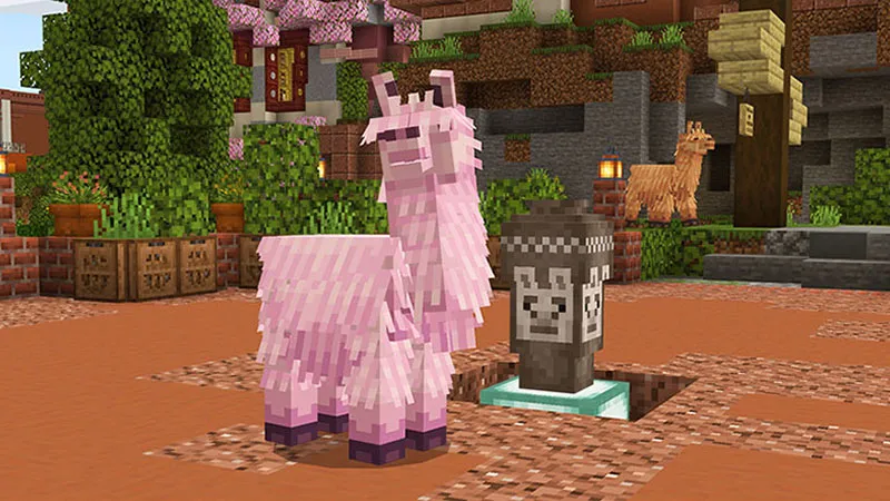 The Llama Glama Gang