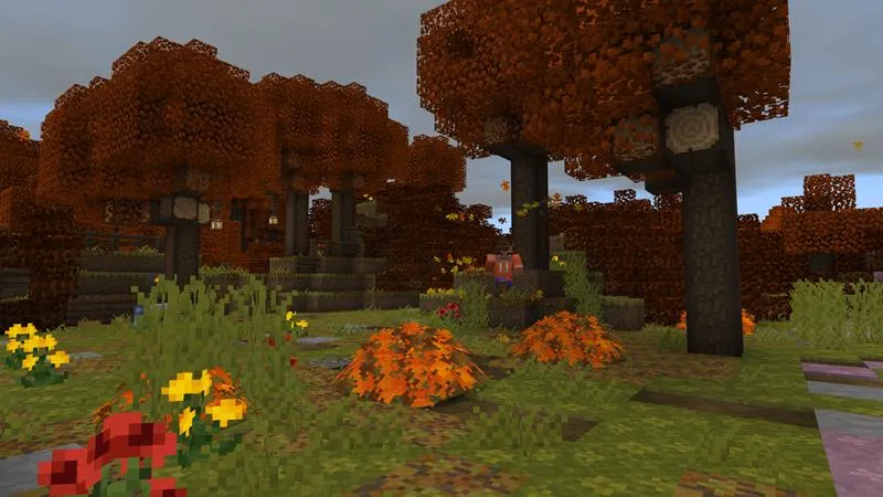 The Road Less Travelled