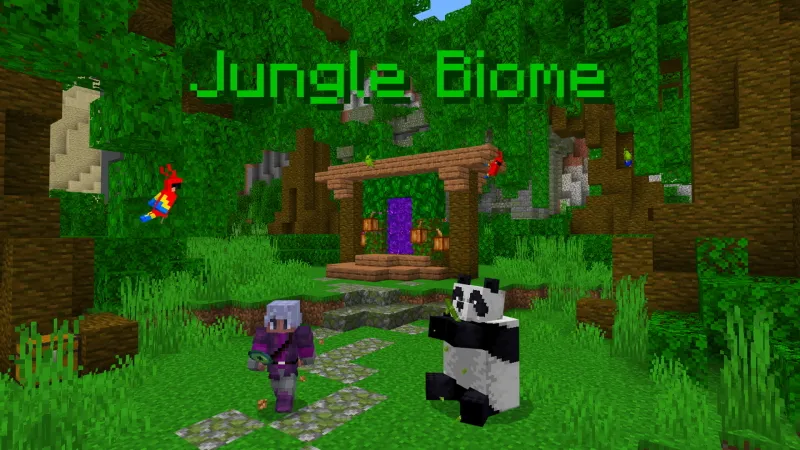 Transformed End Portal