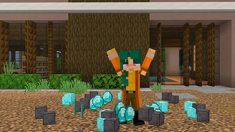 Millionaire Island Mansion