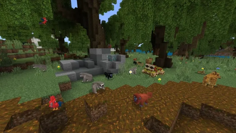 Life in South America