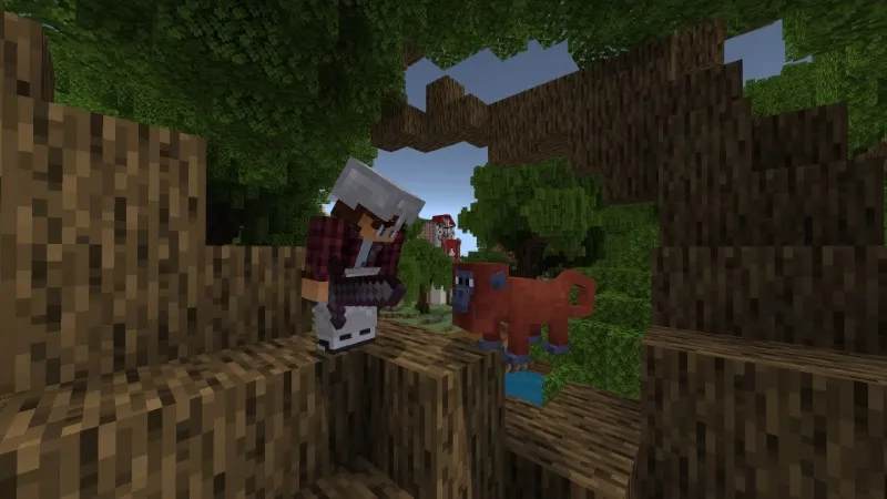 Life in South America