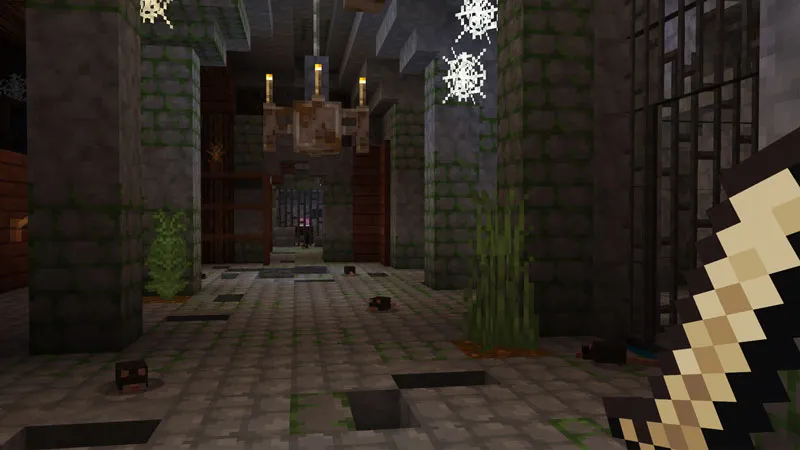 The Cursed Neighborhood