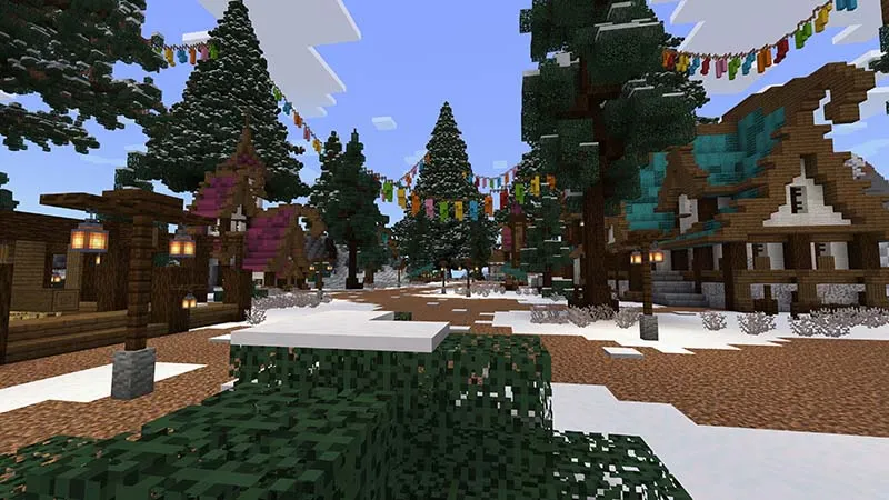 Winter Festival