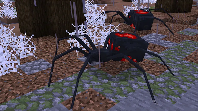 Spiders