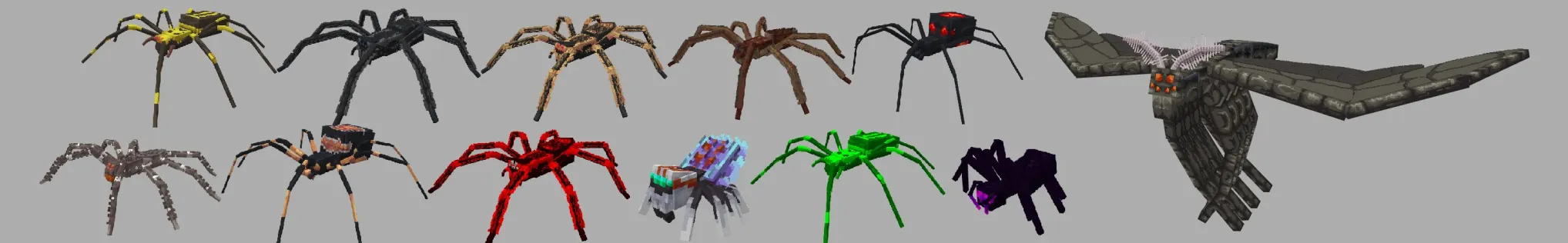 Spiders