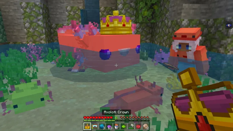 How to live inside an Axolotl?