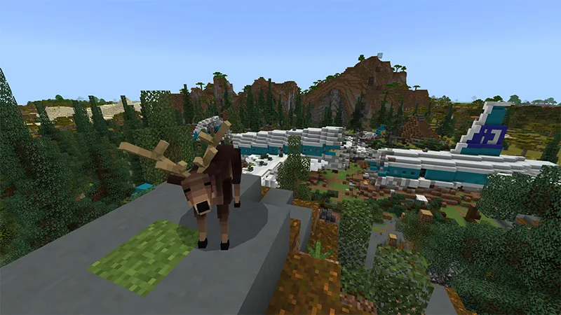 Plane Crash Survival