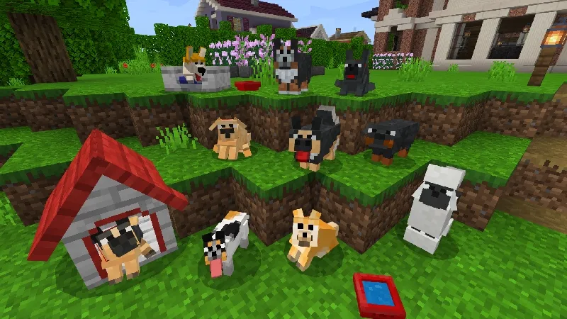Dog Town