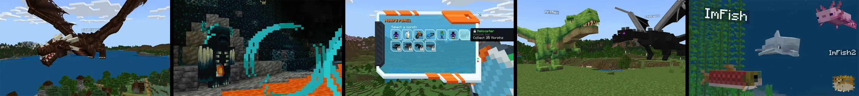 Morph Lab