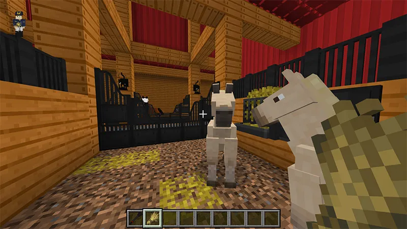 Horse Ranch