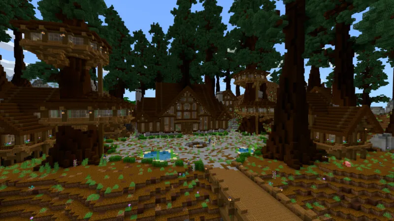 Redwood Forest