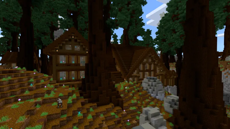 Redwood Forest