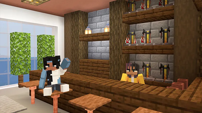 Millionaire Party Mansion