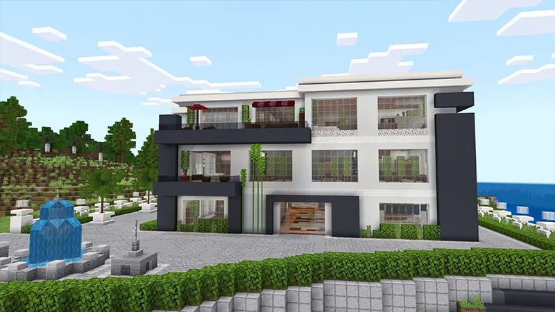 Millionaire Party Mansion