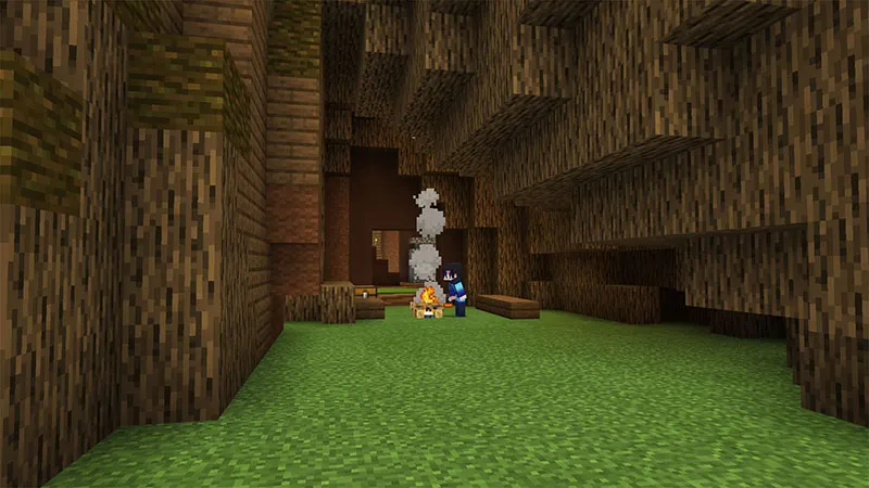 Tree House Secret Base