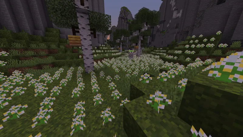 The Maze