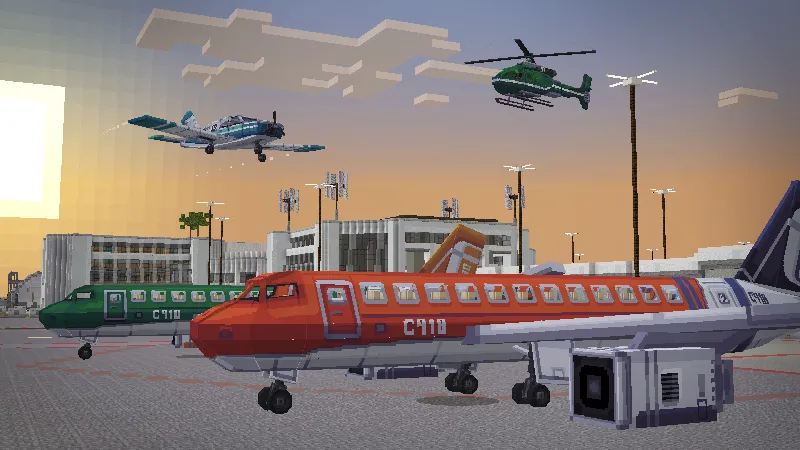 The Airport