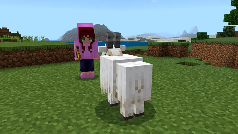 ORIGINAL LUCKY BLOCK!