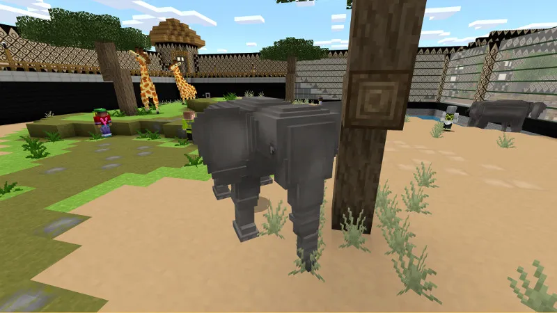Rescue Zoo