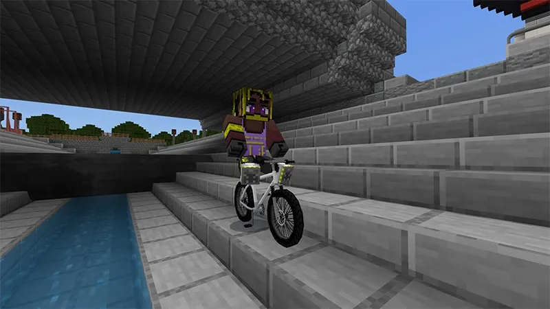 Bikes, Scooters & Skateboards