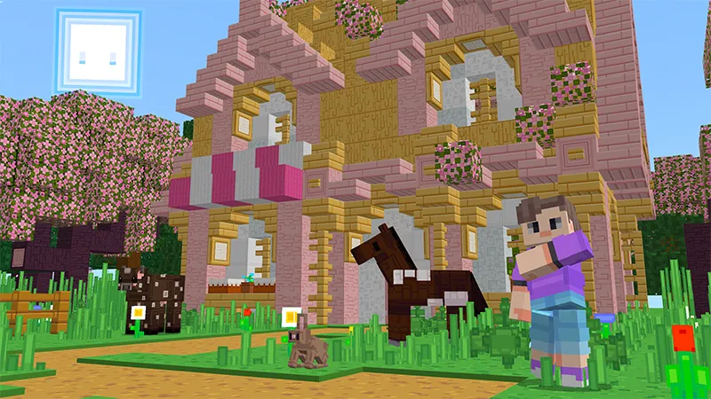 Dream Kawaii Texture Pack