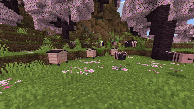 Feed the Bees