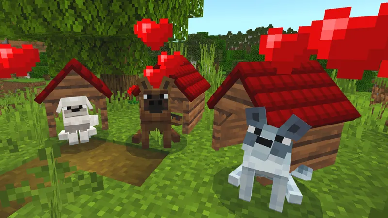 Pets Pack