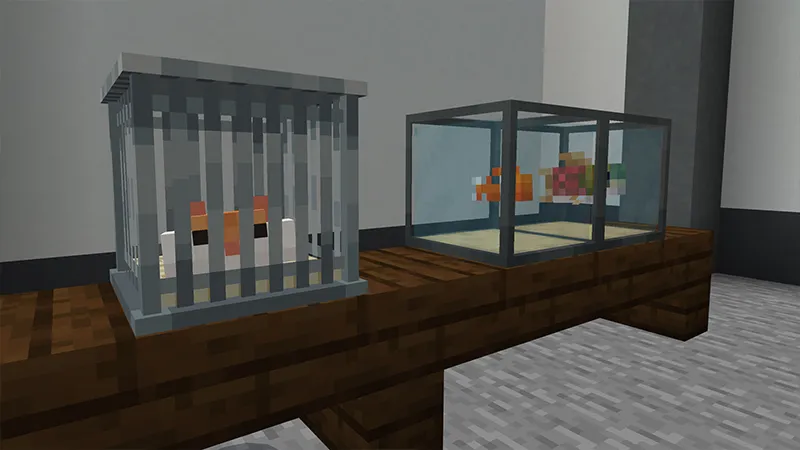 ANIMAL SHELTER